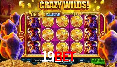 19Bet Brasília - Betting Features